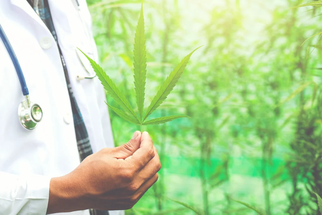 How to get medical cannabis prescription in texas | Hill Family Cannabis How to get medical cannabis prescription in texas